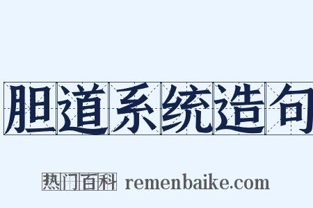 胆道系统造句是什么意思的图片